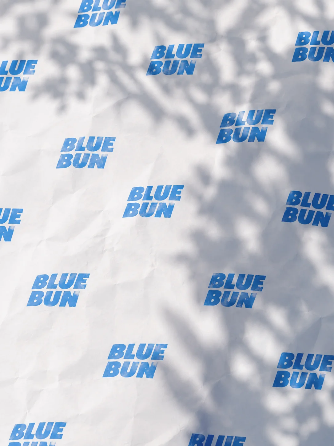 Blue Bun — fictional campaign concept image 08