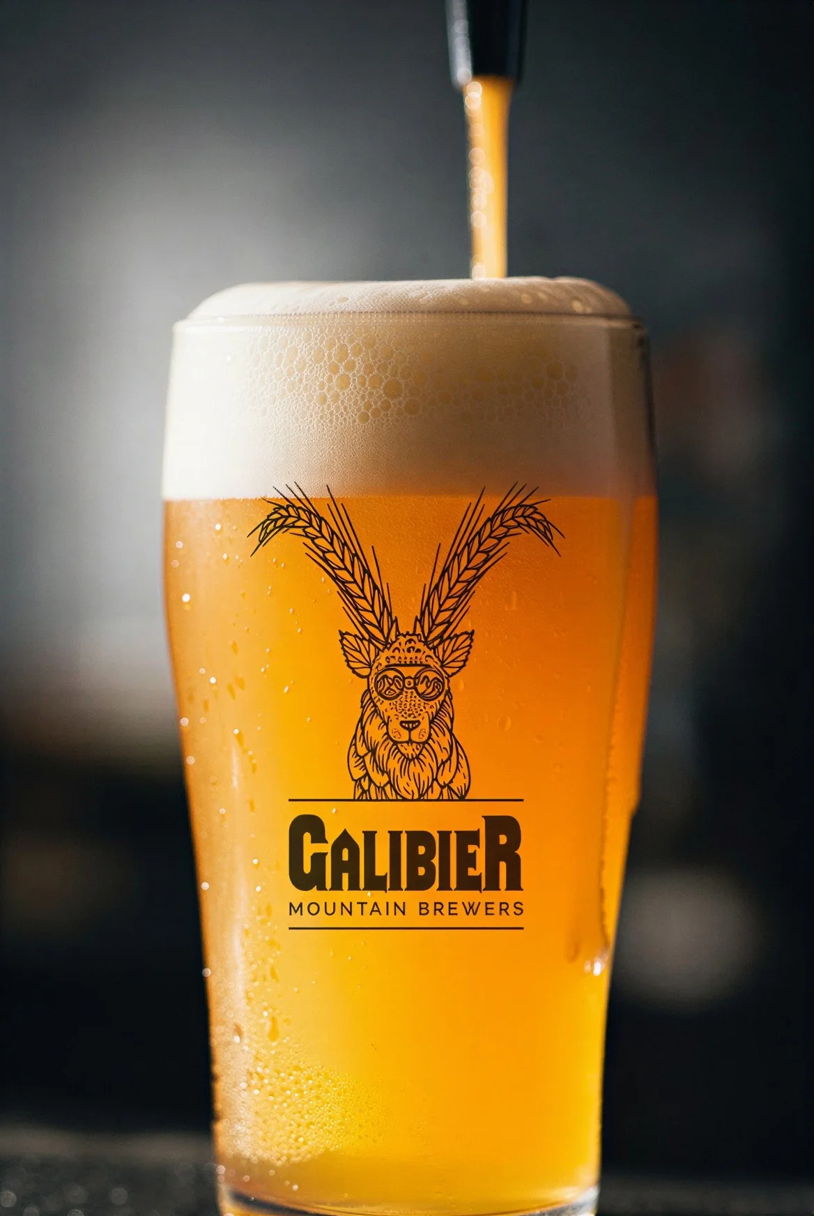 Galibier — fictional campaign concept image 03