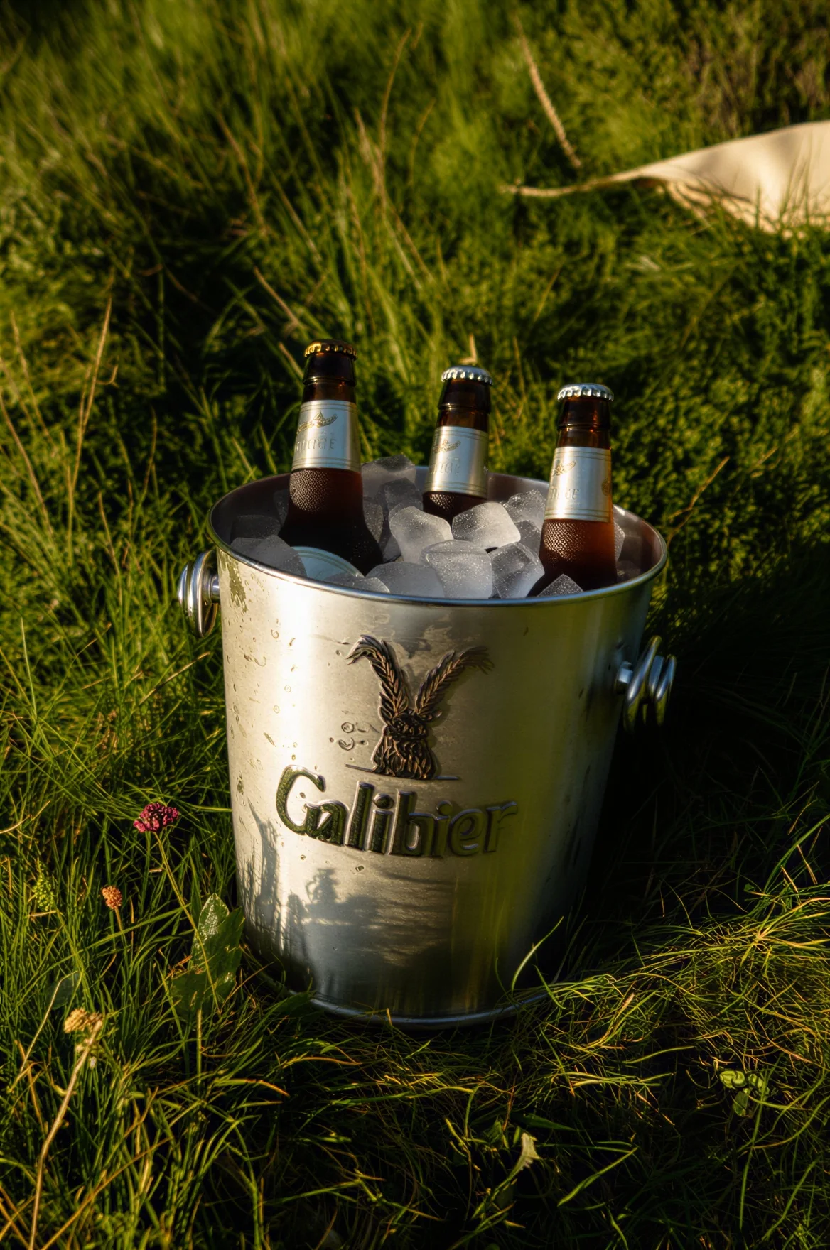 Galibier — fictional campaign concept image 14